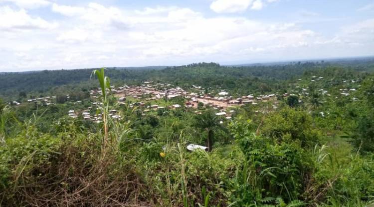 Massacres à Beni : plus de 12 morts parmi les déplacés basés sur le mont Ruwenzori à Mwenda